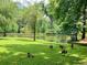 Peaceful pond with lush green lawn and Canadian geese at 2701 Southwell St, Atlanta, GA 30305