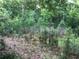 Overgrown lot with small trees and underbrush at 2165 Old Salem Se Rd, Conyers, GA 30013