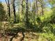 Wooded area with tall trees and undergrowth at 2165 Old Salem Se Rd, Conyers, GA 30013