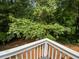 Another view from the deck showing lush green trees at 145 Dunwick Ln, Mcdonough, GA 30253