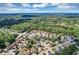 Aerial view of a residential neighborhood showcasing houses nestled among trees at 101 Natalie Ct, Dallas, GA 30157