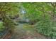 Private backyard with mature trees and lush greenery at 2347 Lavista Ne Rd, Atlanta, GA 30329