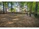 Large backyard with wooded area at 1486 Willow Bnd, Woodstock, GA 30188