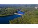 Aerial view of lake and surrounding woods in a peaceful setting at 306 Mountain Laurel Walk, Canton, GA 30114