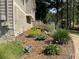 Landscaped side yard with stone accents and various plants at 13 Cliff Ct, Villa Rica, GA 30180