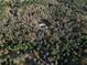 Aerial view showcasing a home with a long driveway surrounded by trees at 8350 Farmette Bnd, Chattahoochee Hills, GA 30268