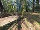 Wooded backyard with concrete slab at 6039 Pineside Dr, Atlanta, GA 30349