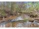 Narrow creek with natural banks and foliage at 1197 Dee Kennedy Rd, Auburn, GA 30011