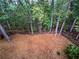 Private backyard with wooded area and pine straw ground cover at 1512 Maplewood Ct, Woodstock, GA 30189