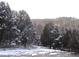 Snow covered landscape with evergreen trees at 7790 Atlanta Newnan Rd, Chattahoochee Hills, GA 30268