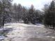 Snow-covered ground with pine trees and a rocky area at 7790 Atlanta Newnan Rd, Chattahoochee Hills, GA 30268