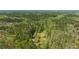 Aerial view of a vast, green forest landscape at 7790 Atlanta Newnan Rd, Chattahoochee Hills, GA 30268