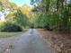 Driveway lined with trees and surrounded by nature at 1078 Highway 92 S, Fayetteville, GA 30215