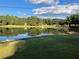 Stunning lake view from a grassy area, showcasing tranquil waters and lush landscaping at 1078 Highway 92 S, Fayetteville, GA 30215