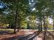 Tree-lined driveway creating a picturesque and private entrance to the property at 1078 Highway 92 S, Fayetteville, GA 30215