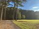 Driveway leading through a lush green landscape towards a wooded area at 1078 Highway 92 S, Fayetteville, GA 30215