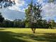 Large grassy yard with a tree and distant trees at 1078 Highway 92 S, Fayetteville, GA 30215
