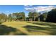 Large grassy yard with a backdrop of trees at 1078 Highway 92 S, Fayetteville, GA 30215
