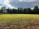 Spacious grassy yard with a tree line in background at 1078 Highway 92 S, Fayetteville, GA 30215