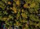 An aerial shot showing a property with lush trees and a pool at 311 Bradford Falls Trce, Canton, GA 30114