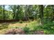 Spacious backyard with mature trees at 2198 Indian Shoals Dr, Loganville, GA 30052