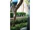 Building entrance with landscaped grounds and signage at 88 W Paces Ferry Nw Rd # 1130, Atlanta, GA 30305