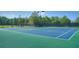 Two lighted tennis courts available for residents at 328 Willow Cv, Canton, GA 30114