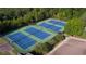 Well-maintained tennis courts surrounded by lush trees at 328 Willow Cv, Canton, GA 30114