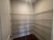 Walk-in pantry with wire shelving for ample storage at 328 Willow Cv, Canton, GA 30114