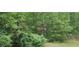 Wooded backyard with a natural landscape at 1175 Bowerie Chase, Powder Springs, GA 30127