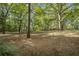 Wooded backyard with a spacious, grassy area at 115 Wilkins Rd, Fayetteville, GA 30214