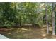 Large, wooded backyard with a grassy area at 115 Wilkins Rd, Fayetteville, GA 30214