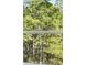 Image of lush green trees at 11814 Rizvan Pl, Covington, GA 30014