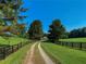 Private drive leading to a beautiful farmhouse nestled amongst the trees at 4900 Spot Rd, Cumming, GA 30040