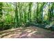 Wooded backyard with a chain link fence at 3900 Hilton Cts, Decatur, GA 30035