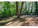Wooded backyard with a sloped terrain at 3900 Hilton Cts, Decatur, GA 30035