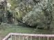 View from deck of a wooded area at 207 Howell Dr, Atlanta, GA 30331