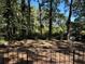 Fenced backyard with trees and patchy grass at 2132 River Rd, Ellenwood, GA 30294