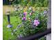 Landscaped yard with beautiful pink and purple flowers at 7350 Ono Rd, Palmetto, GA 30268