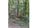 Wooded area with tall trees and leaf-covered ground at 3246 Glen Wallace Dr, Cumming, GA 30040