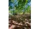 Wooded backyard with a deck and shed in the background at 3246 Glen Wallace Dr, Cumming, GA 30040