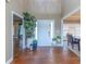 Bright and spacious entryway with hardwood floors and decorative plants at 1896 Alcovy Bluff Way, Lawrenceville, GA 30045