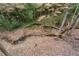 View of a wooded area with a small creek at 2865 Payton Oaks Ne Dr, Atlanta, GA 30345
