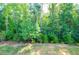Private backyard with lush green trees and grassy area at 134 Henley St, Canton, GA 30114
