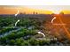 Stunning aerial view showcasing Midtown and nearby parks at 1281 Avalon Ne Pl, Atlanta, GA 30306