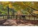 Deck with grill, overlooking a wooded backyard in autumn at 810 Mcconnell Rd, Powder Springs, GA 30127