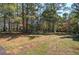 Landscaped yard with stone pathway leading to house at 810 Mcconnell Rd, Powder Springs, GA 30127