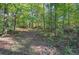 Wooded area with tall trees and leaf-covered ground at 810 Mcconnell Rd, Powder Springs, GA 30127