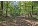 Wooded area with tall trees and leaf-covered ground at 810 Mcconnell Rd, Powder Springs, GA 30127