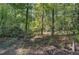 Wooded lot with dense trees and undergrowth at 810 Mcconnell Rd, Powder Springs, GA 30127